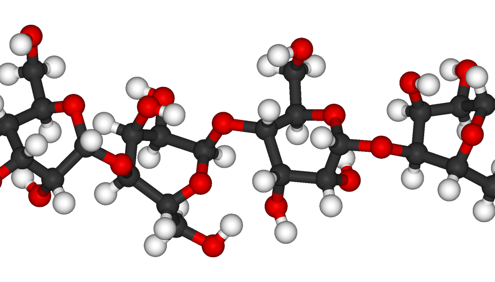 picture of a carbohydrate molecule