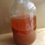 Kombucha Scoby