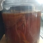 Kombucha