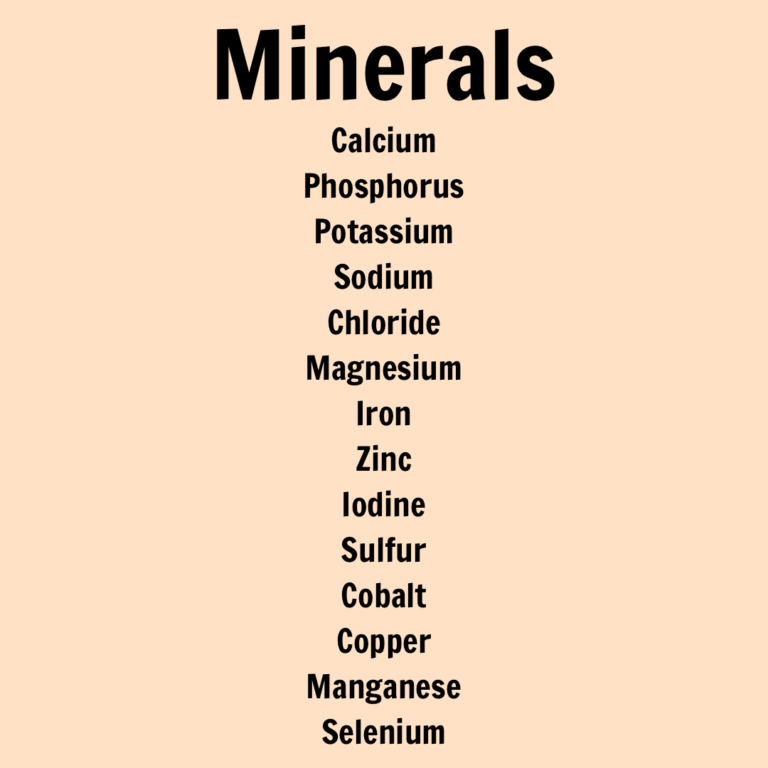 Vitamins and Minerals